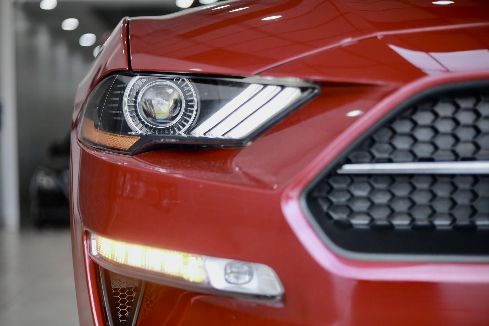 Ford Mustang 2022 - Xe mới 100% chưa lăn bánh