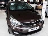 Kia Rio 1.4 MT 2016 - Cần bán xe Kia Rio 1.4 MT đời 2016, màu nâu, nhập khẩu, 485tr giá 485 triệu tại Đồng Nai