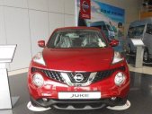 Nissan Juke AT 2016 - Bán Nissan Juke AT đời 2016, màu đỏ, nhập khẩu giá 1 tỷ 60 tr tại Hà Nội