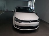 Volkswagen Polo   2017 - Bán Volkswagen Polo đời 2017, nhập khẩu, 695tr giá 695 triệu tại Tp.HCM