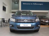 Volkswagen Tiguan   2017 - Bán xe Volkswagen Tiguan đời 2017, màu xanh lam, nhập khẩu nguyên chiếc giá 1 tỷ 290 tr tại Tp.HCM