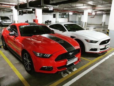 Ford Mustang 2015 - Cần bán xe Ford Mustang sản xuất 2015, màu đỏ, nhập khẩu