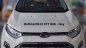 Ford EcoSport Titanium 2016 - Ford EcoSport Titanium - Tự tin trên mọi cung đường