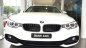 BMW 4 Series 420i 2017 - Bán ô tô BMW 4 Series 420i Coupe 2017, màu trắng, nhập khẩu chính hãng