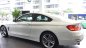 BMW 4 Series 420i 2017 - Bán ô tô BMW 4 Series 420i Coupe 2017, màu trắng, nhập khẩu chính hãng