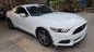 Ford Mustang 2.3AT 2015 - Cần bán Ford Mustang 2.3 2015, màu trắng, xe nhập