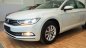 Volkswagen Passat 2017 - Mua xe Volkswagen Passat 2017 từ Đại lý chính hãng với nhiều ưu đãi. Hotline 0989517198 Mr. Vần