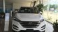 Hyundai Tucson  2.0   2017 - Bán Hyundai Tucson 2.0 2017, màu trắng