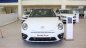 Volkswagen Beetle Dune 2017 - Bán Volkswagen Beetle Dune sản xuất 2017, màu trắng, xe nhập