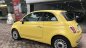 Fiat 500 2009 - Bán ô tô Fiat 500 đời 2009, màu vàng, nhập khẩu