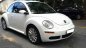 Volkswagen Beetle 2008 - Cần bán rẻ Siêu xe Volkswagen Beetle ĐK 2008, nhập khẩu. Chỉ 428tr