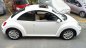 Volkswagen Beetle 2008 - Cần bán rẻ Siêu xe Volkswagen Beetle ĐK 2008, nhập khẩu. Chỉ 428tr