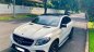 Mercedes-Benz GL Cũ Mercedes-Benz E 450 2016 - Xe Cũ Mercedes-Benz GLE 450 2016