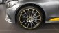 Mercedes-Benz C class C300 Coupe 2018 - Bán xe Mercedes C300 Coupe màu xám ưu đãi lên tới 100 triệu