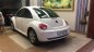 Volkswagen New Beetle AT 2010 - Cần bán Volkswagen New Beetle AT sản xuất năm 2010, nhập khẩu nguyên chiếc