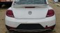 Volkswagen Beetle Dune 2018 - Bán Volkswagen Beetle Dune - Lô xe tháng 10/2018, xe thể thao 2 cửa nhập khẩu chính hãng giá tốt/ hotline: 090.898.8862