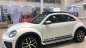 Volkswagen Beetle 2018 - Bán ô tô Volkswagen Beetle đời 2018, đủ màu, nhập khẩu chính hãng, đẹp sang, vay 85%