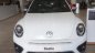 Volkswagen Beetle Dune 2018 - Cần bán xe Volkswagen Beetle Dune năm sản xuất 2018, màu trắng, xe nhập