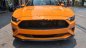 Ford Mustang 2.3 EcoBoost Fastback 2019 - Bán xe Ford Mustang 2.3 EcoBoost Fastback năm 2019, màu vàng, xe nhập