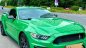 Ford Mustang 2015 - Cần bán xe chính chủ - bản kỷ niệm 50 năm