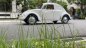 Volkswagen Beetle 1974 - Xe hoạt động bình thường, có máy lạnh