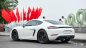 Porsche 718 2020 - Full lịch sử hãng - Giá tốt nhất thị trường